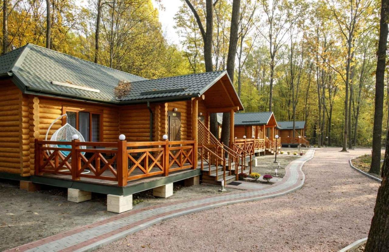 Комплекс Відпочинку Goldfіsh Сlub Pensionat Babintsy Exteriör bild